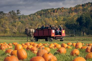 Pumpkin Festival at Cedar Circle Farm
