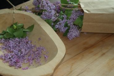 Cooking with Wild Things