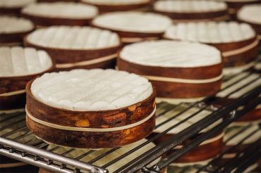 Exploring Taste and Terroir with Jasper Hill | City Market