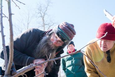 Pruning & Grafting Workshop | Scott Farm