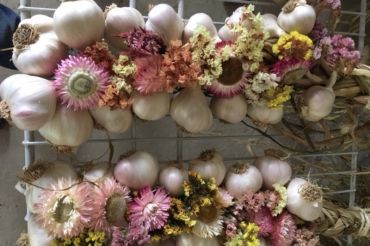 Virtual Garlic Braiding with Last Resort Farm | Open Farm Week 2020