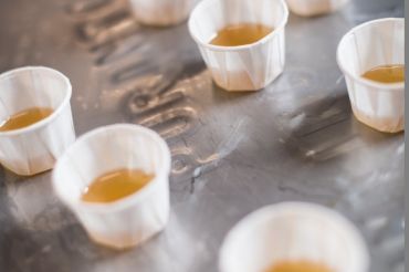 Silloway Maple Open House