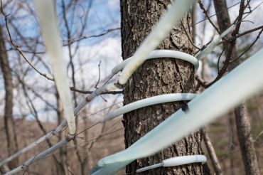 Green Mountain Sugar House Maple Open House