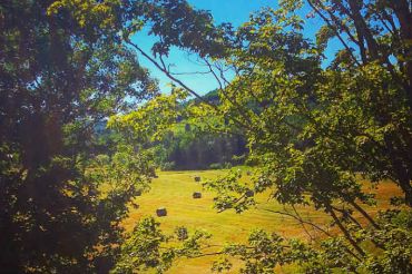 Full Moon Farmer Yoga at Crossmolina Farm | 2019 Open Farm Week