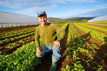 Open Farm & Tour at Pete's Greens | 2019 Open Farm Week