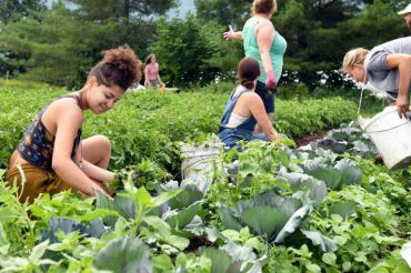 Herbal Farm Medicine at Smokey House Center | 2018 Open Farm Week