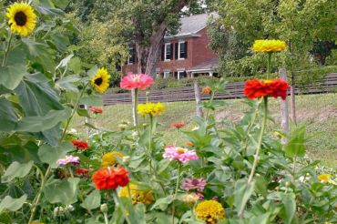 Stonecutter Spirits Garden Party at Philo Ridge Farm | 2019 Open Farm Week