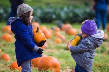 17th Annual Pumpkin Festival | Cedar Circle Farm & Education Center