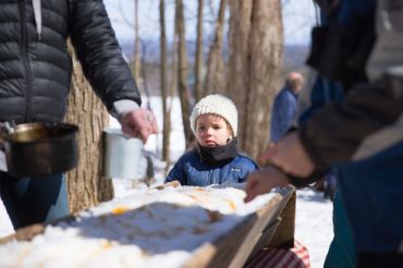 Shelburne Farms Maple Open House Weekend