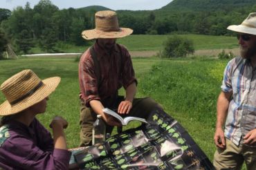 Fundamentals of Herbalism with Bruce Ketcham at Smokey House Center | 2019 Open Farm Week