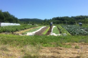 Trillium Hill Farm Run and Burger Night | 2019 Open Farm Week