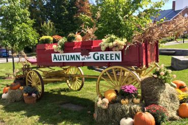 Autumn on the Green | Danville