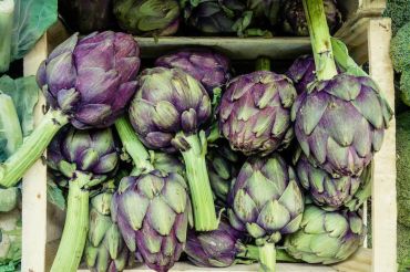 Master the Unusual Vegetables | Red Wagon Plants