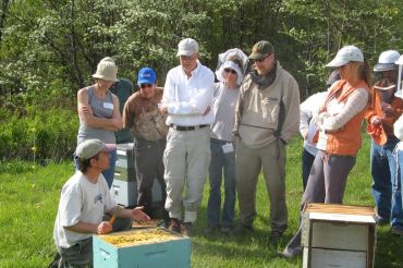 Beginning Organic Beekeeping Class | Metta Earth Institute