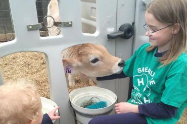 Dairy Day | Shelburne Farms