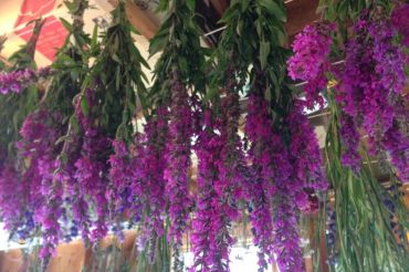 Farm Tour and Open House at Lightfoot Farm | Open Farm Week 2020