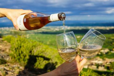Guided Tours: Wine & Maple Tour & Picnic | The Essex Resort