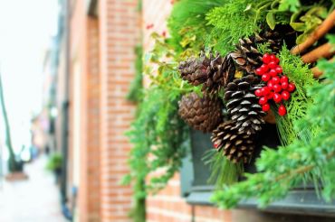 Craftsbury Farmers Holiday Market