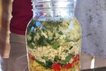 Winter Wellness and Fire Cider Preparation | Shelburne Farms