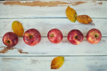 Shoreham Apple Fest & Orchard Run