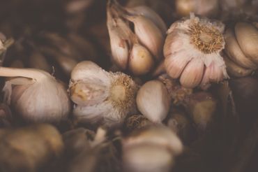 Agricultural Literacy Week - Tracey Medeiros | Manchester Community Library