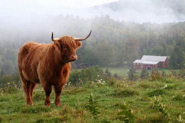 Our 2018 farm schedule: Open Farm Week 2018