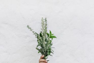 Winter Wellness with Spoonful Herbals | Shelburne Farms