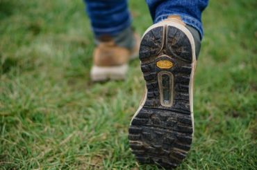 Open Farm Walk and Picnic at Frog Hollow Farms | Open Farm Week 2020