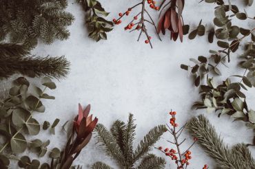 Holiday Blooms | Fresh Tracks Farm Vineyard & Winery