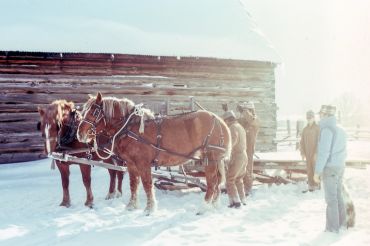 Horse-Drawn Rides | Shelburne Farms