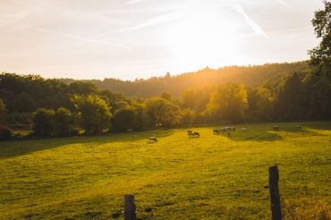 VT Land Trust Workshop | Hunger Mountain Coop