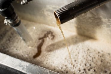 Fradette's Maple Syrup Open House