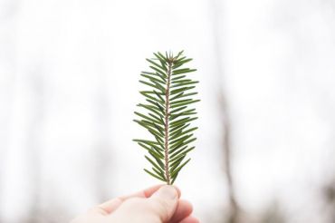 Winter Gifts & Craftmaking | Shelburne Farms