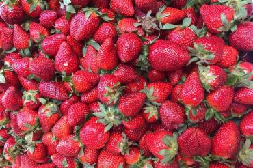Strawberry Festival | Monkton Volunteer Fire Department