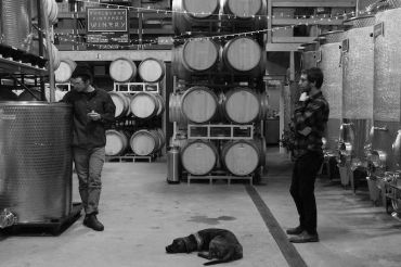Cellar Tasting 2019 | Shelburne Vineyard