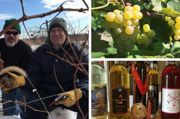 Harvest Wine Pairing Dinner | Snow Farm Vineyard