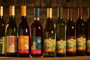 Summer Concert Series | Snow Farm Vineyard