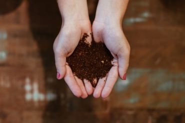 Backyard Compost Basics Webinar