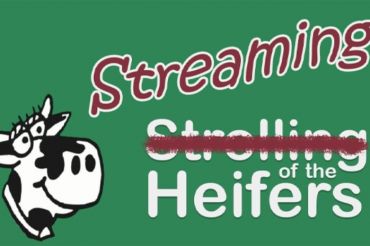 Streaming of the Heifers - A Crowd-Sourced Celebration of Cows and Farming