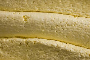Sun to Cheese Tour | Shelburne Farms