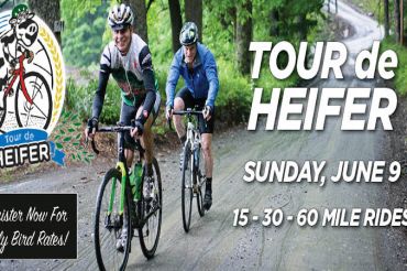 Tour de Heifer