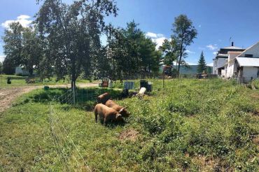 Triple J Pastures Harvest Dinner