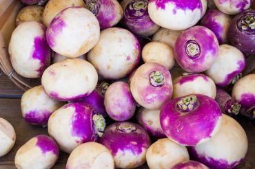 Gilfeather Turnip Dinner | Four Columns Inn