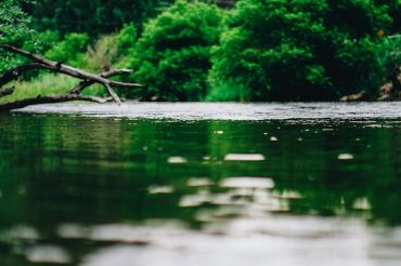 Tubing, Tunes, and Tacos: River to Farm to Table | Golden Well Sanctuary