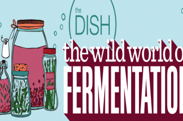 The Dish: The Wild World of Fermentation