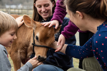 Baby Farm Animal Celebration | Billings Farm