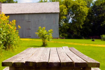 Open Farm Week 2020: Have a Picnic!