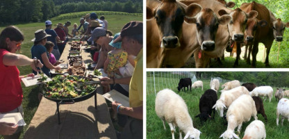 First Timers: Open Farm Week 2018