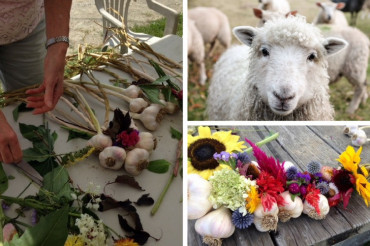 Learn Something New: Open Farm Week 2019