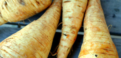 On the Menu - Spring-Dug Parsnips 